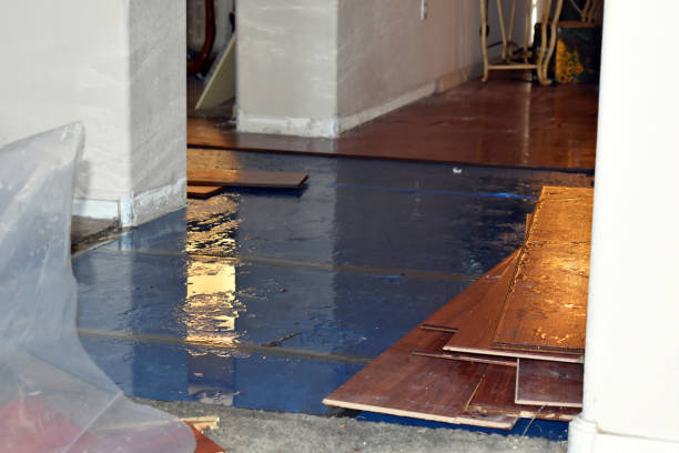Professional Basement Water Removal technician working in Port Chester, NY